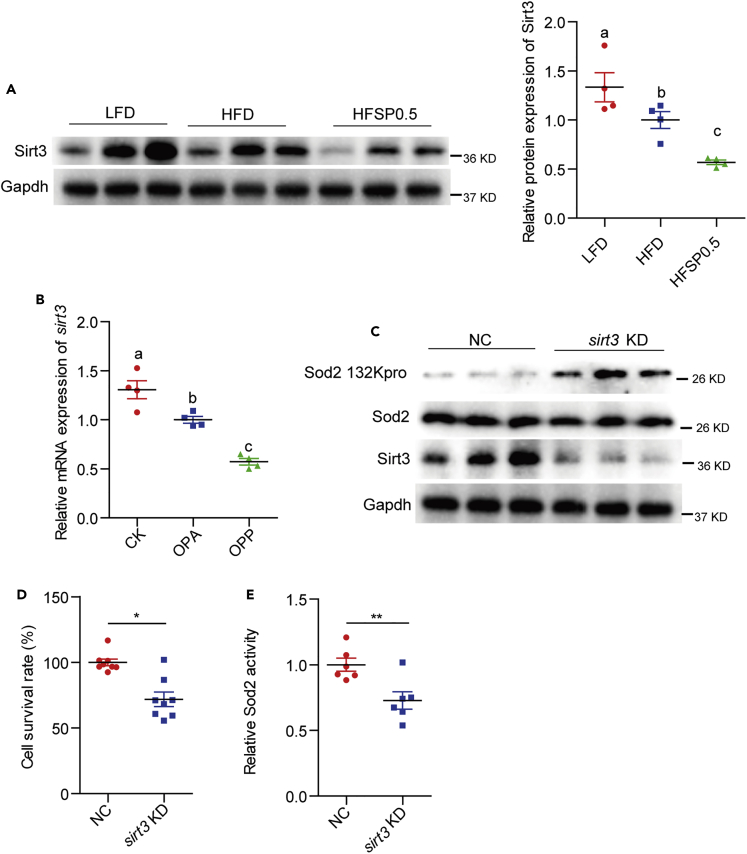 Figure 6