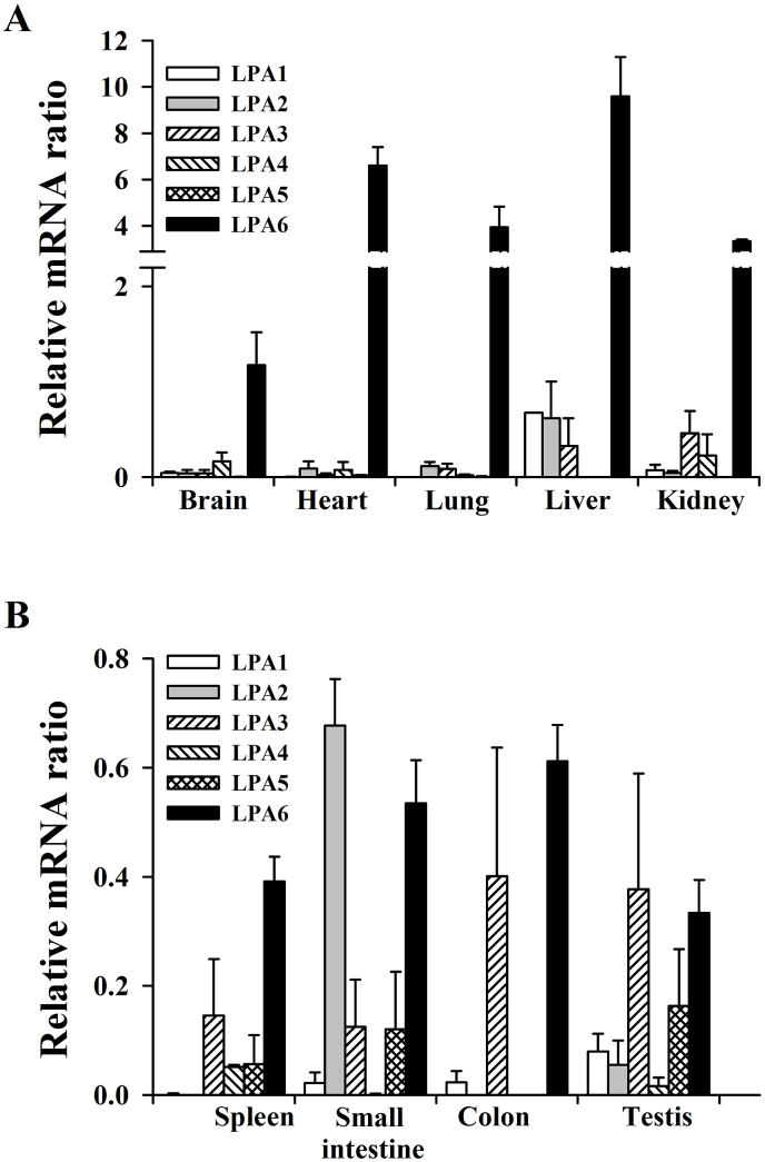 Fig. 1