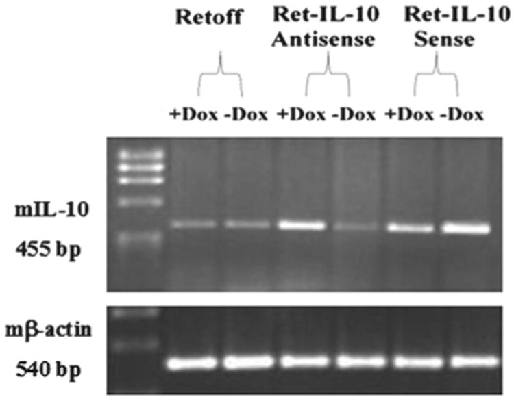 Figure 5