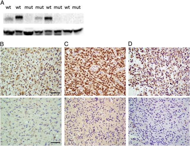 Fig. 2.