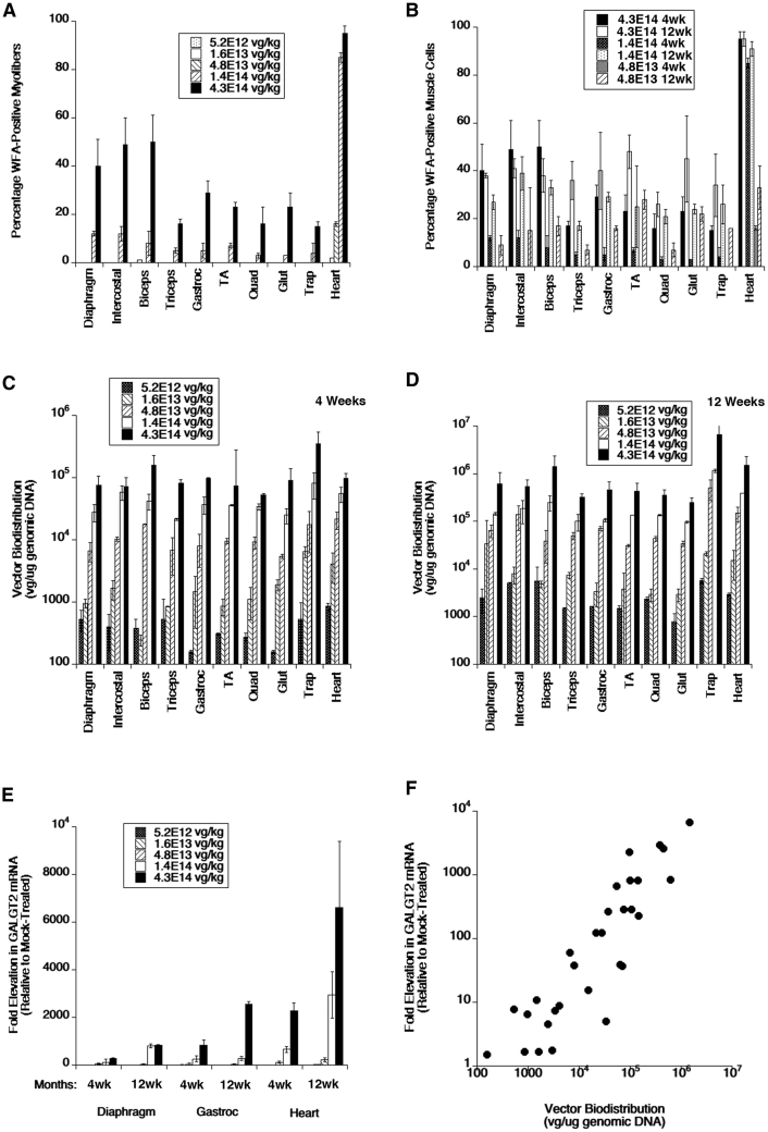 Figure 4