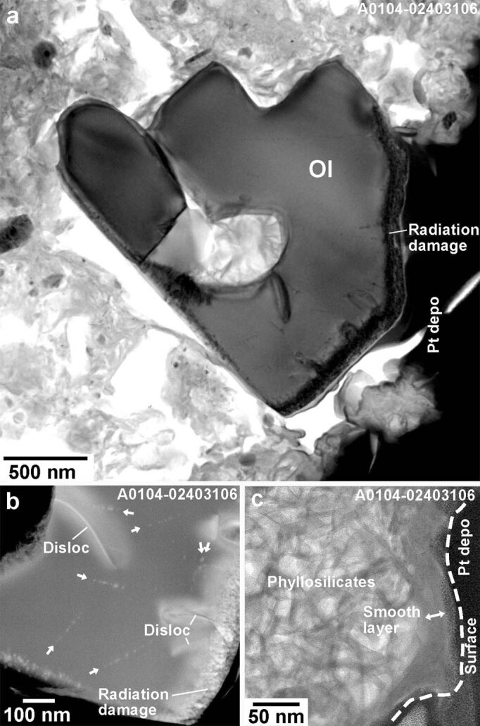 Extended Data Fig. 7