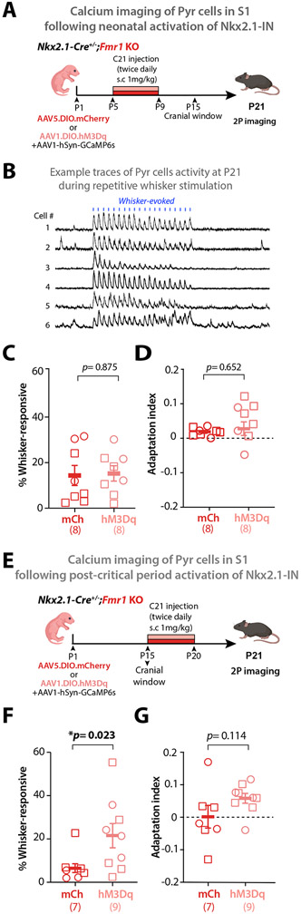 Figure 7: