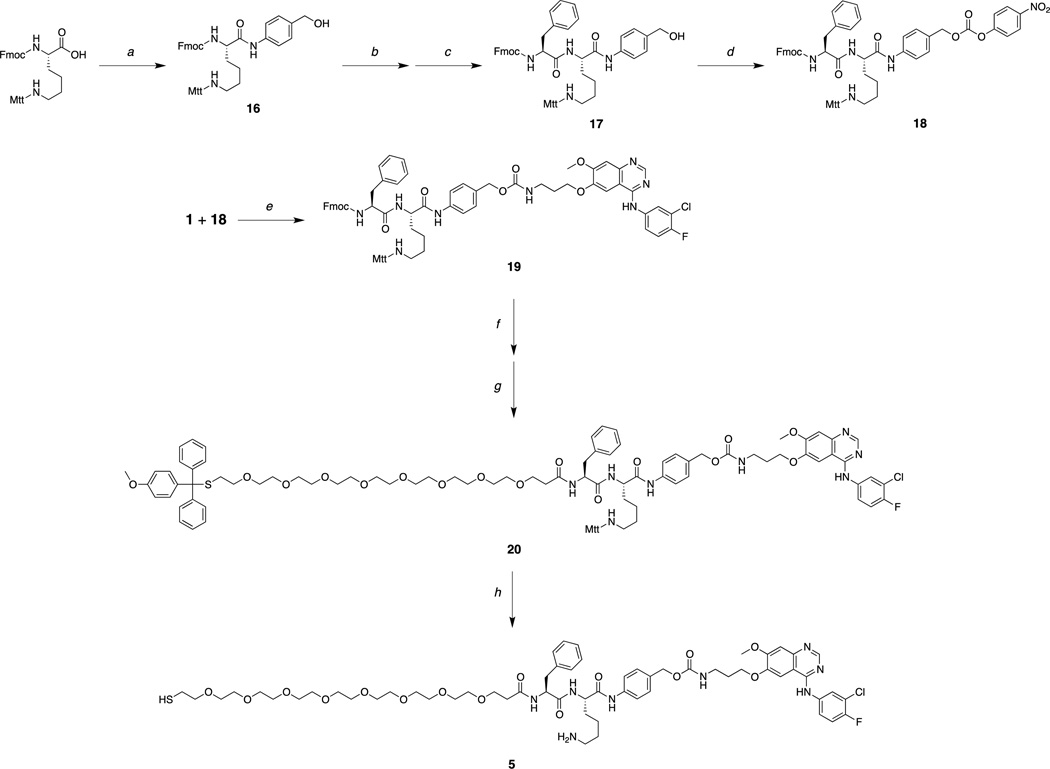 Scheme 3