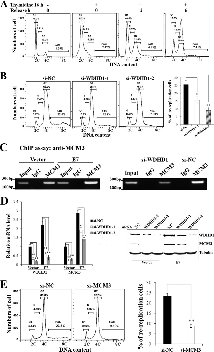 FIG 6