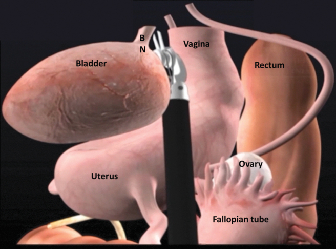 FIG. 6.