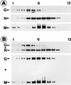 FIG. 6