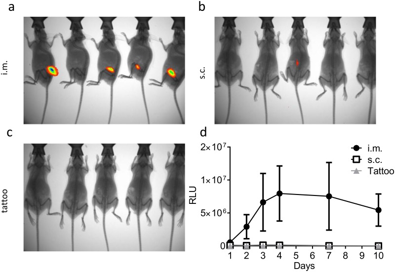 Fig 4