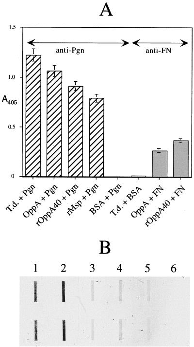 FIG. 8