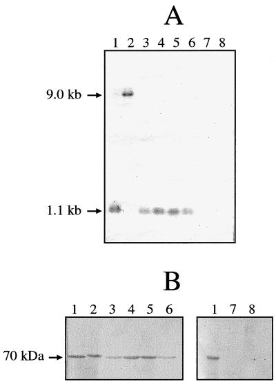 FIG. 5