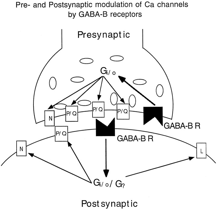 Fig. 12.