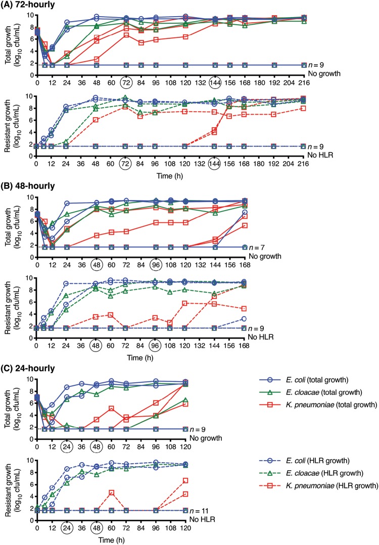 FIG 6