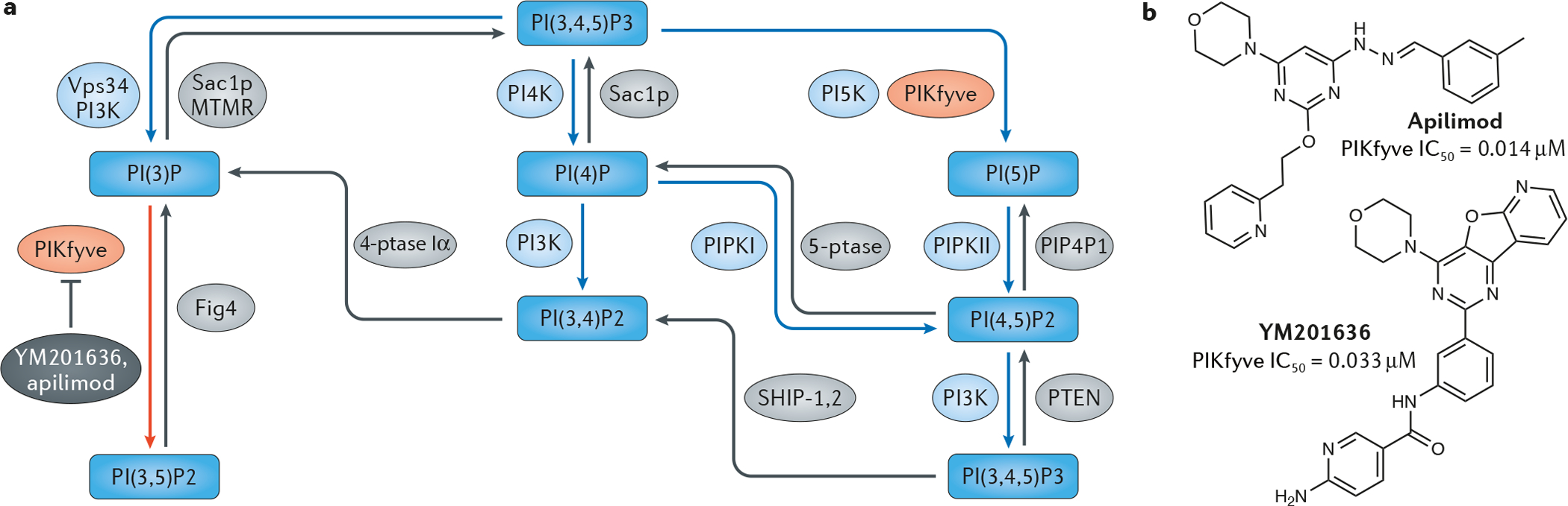 Fig. 1 |