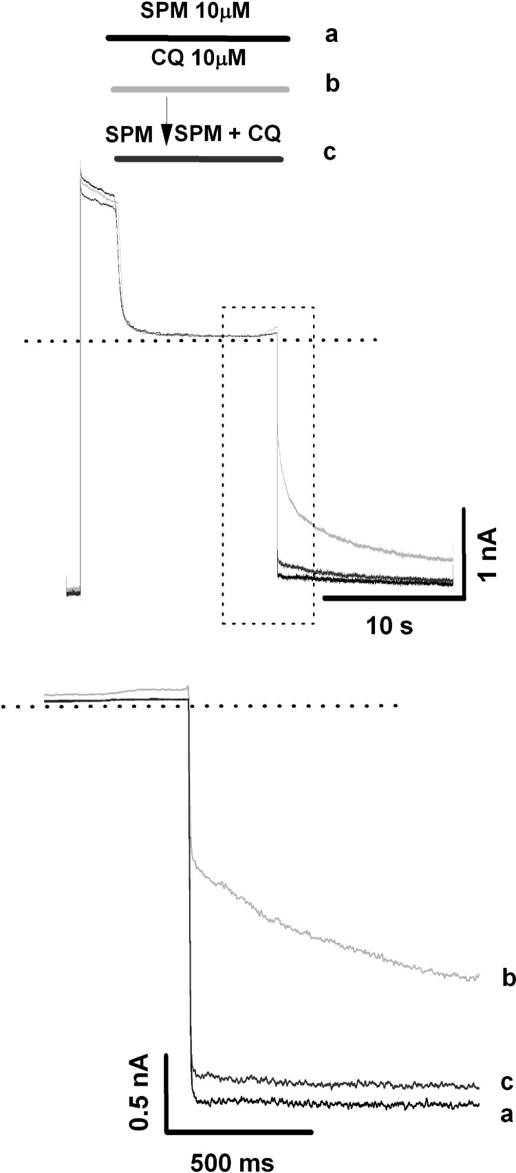 Fig. 9.