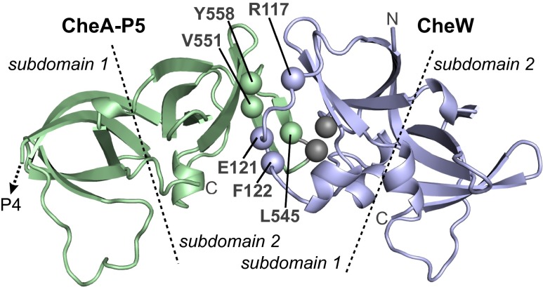 Fig. 2.