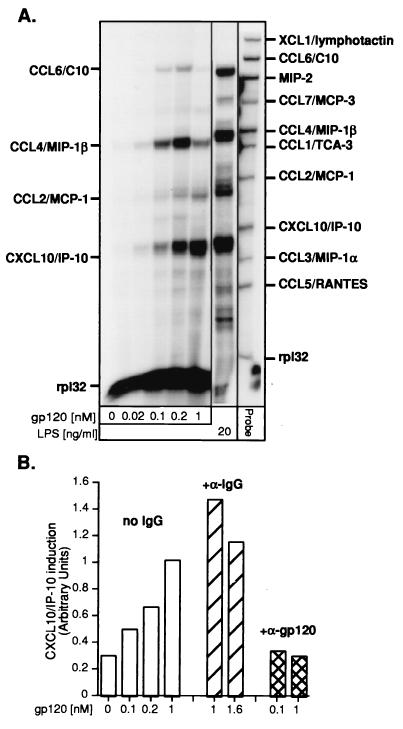 FIG. 7