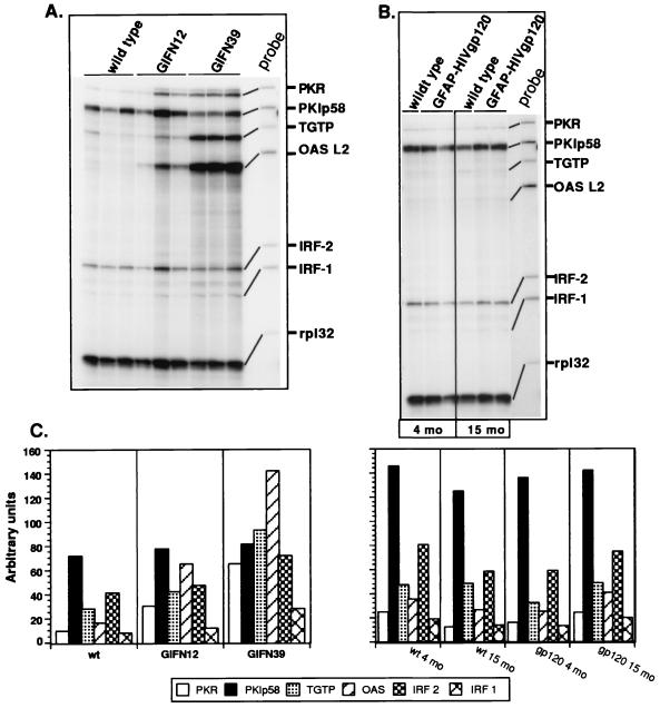 FIG. 6