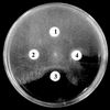 FIG. 7.