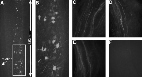 FIG. 4.