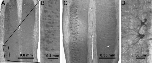 FIG. 9.