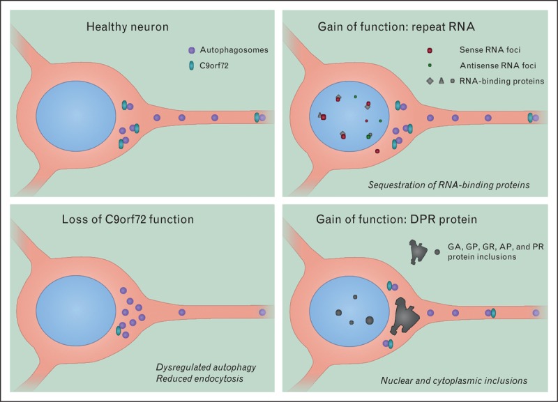 FIGURE 1