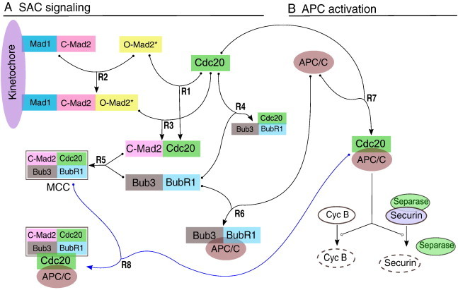 Fig. 1