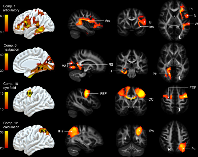 Fig. 3