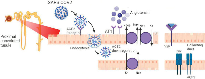 Figure 6.