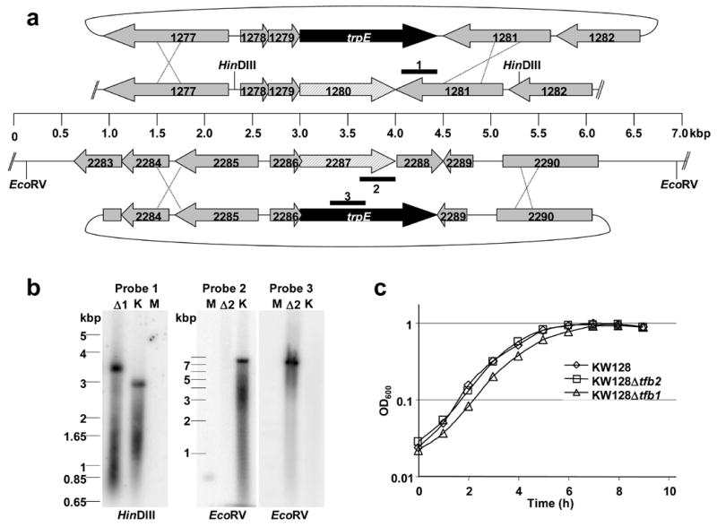 Figure 7