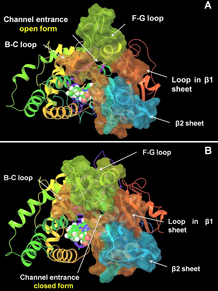 Fig 3