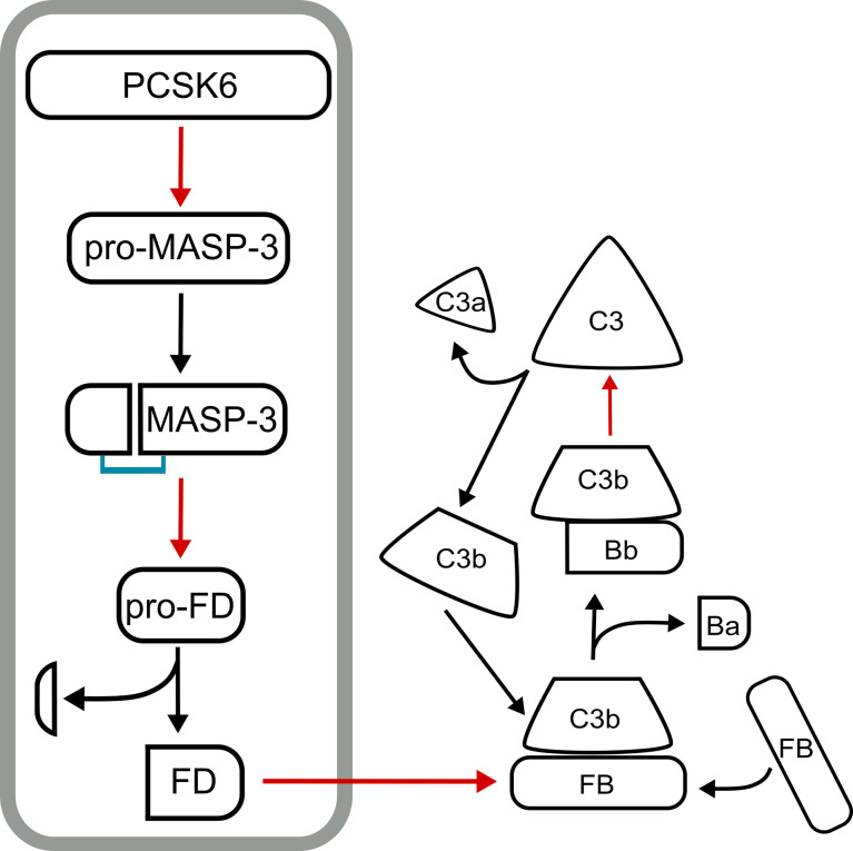 Figure 4