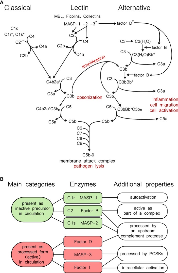 Figure 1