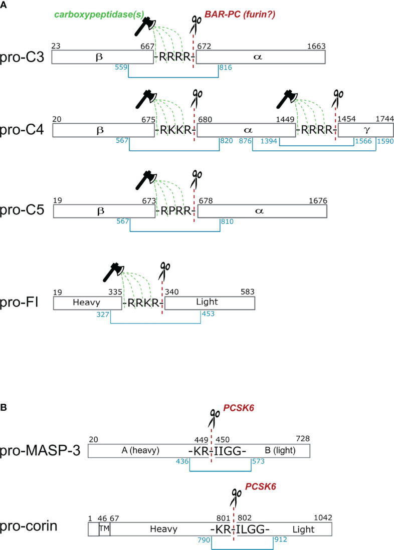 Figure 3