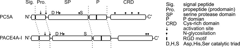 Figure 2