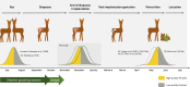 Reproductive cycle of roe deer with embryonic diapause.