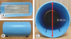 Fig. 3.