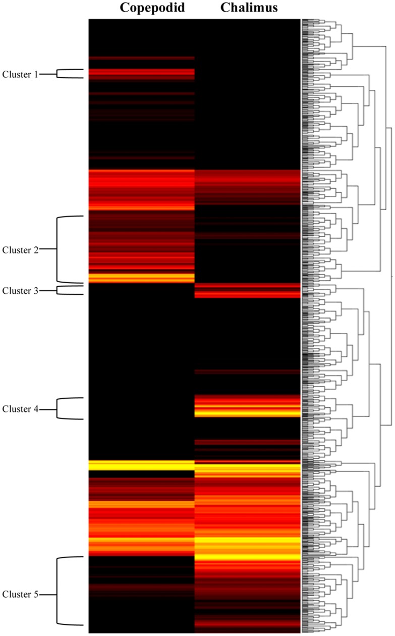 Figure 5