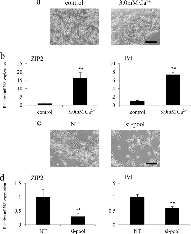 FIGURE 9.