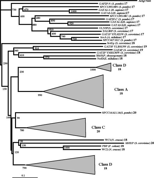 Figure 7.