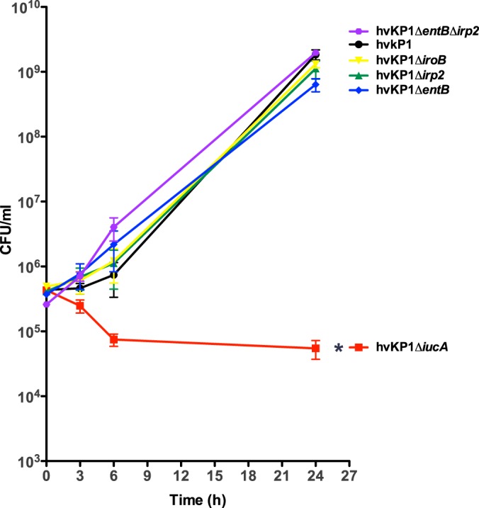 FIG 2