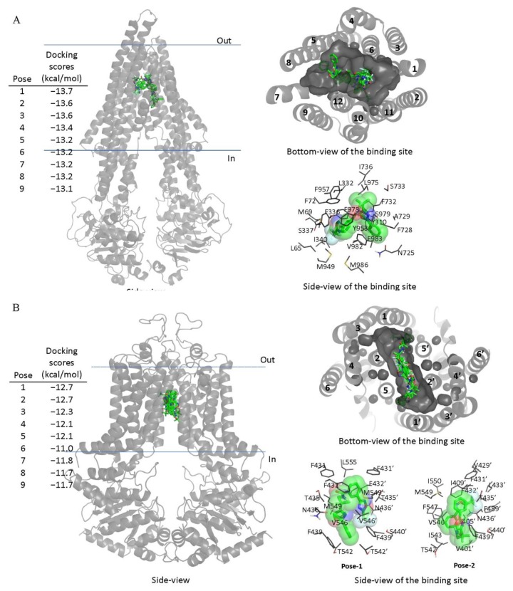 Figure 5