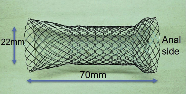 Figure 1