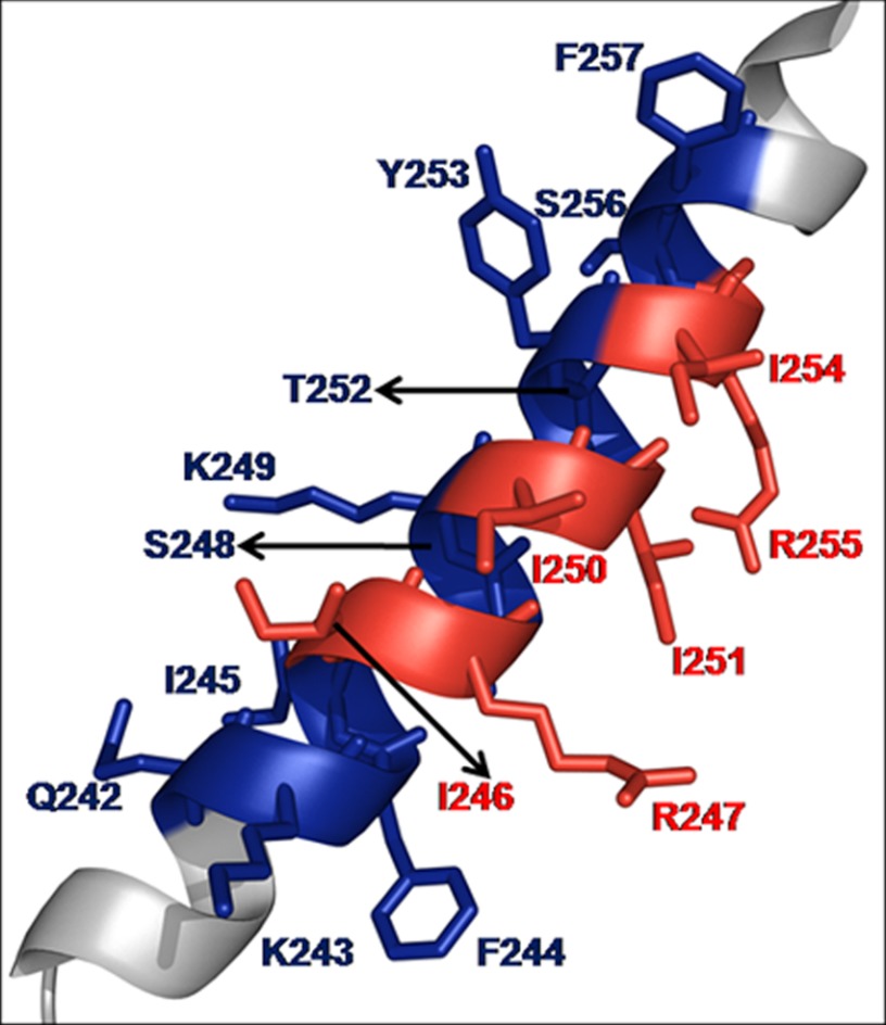 FIGURE 3.