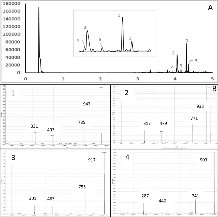 Fig 5