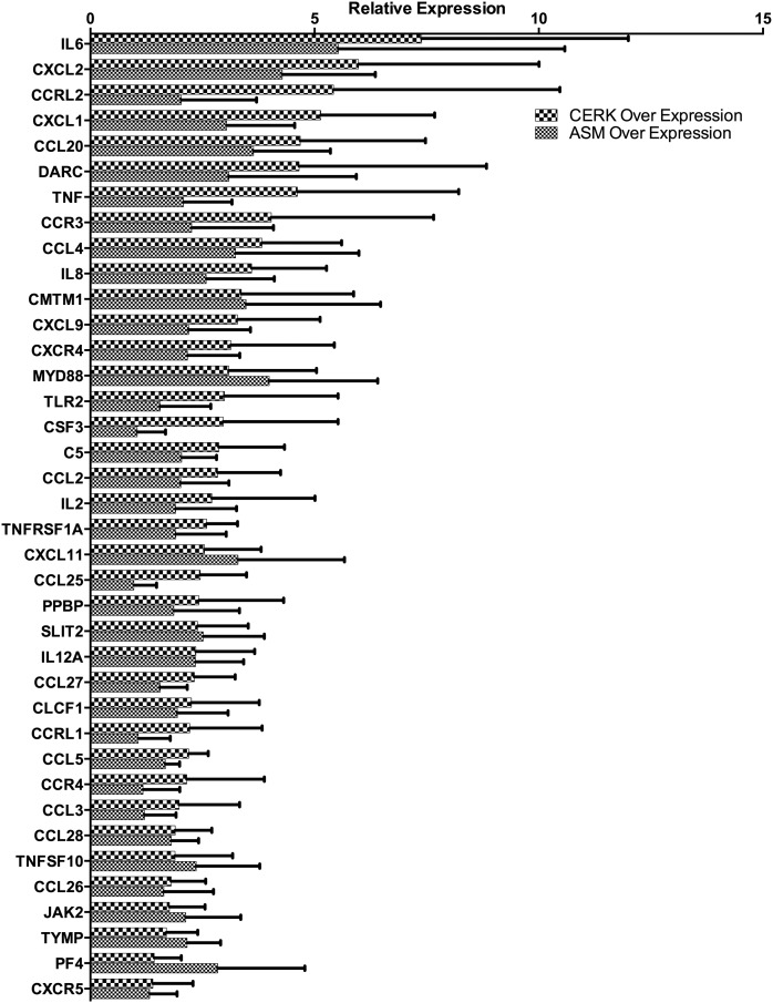 Fig. 7.