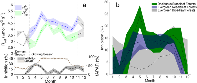 Fig. 2 ∣