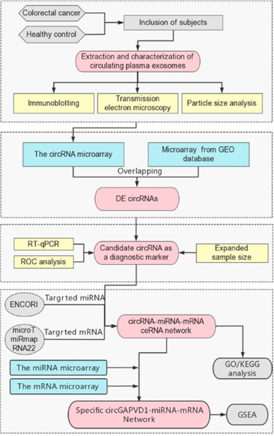 Image, graphical abstract