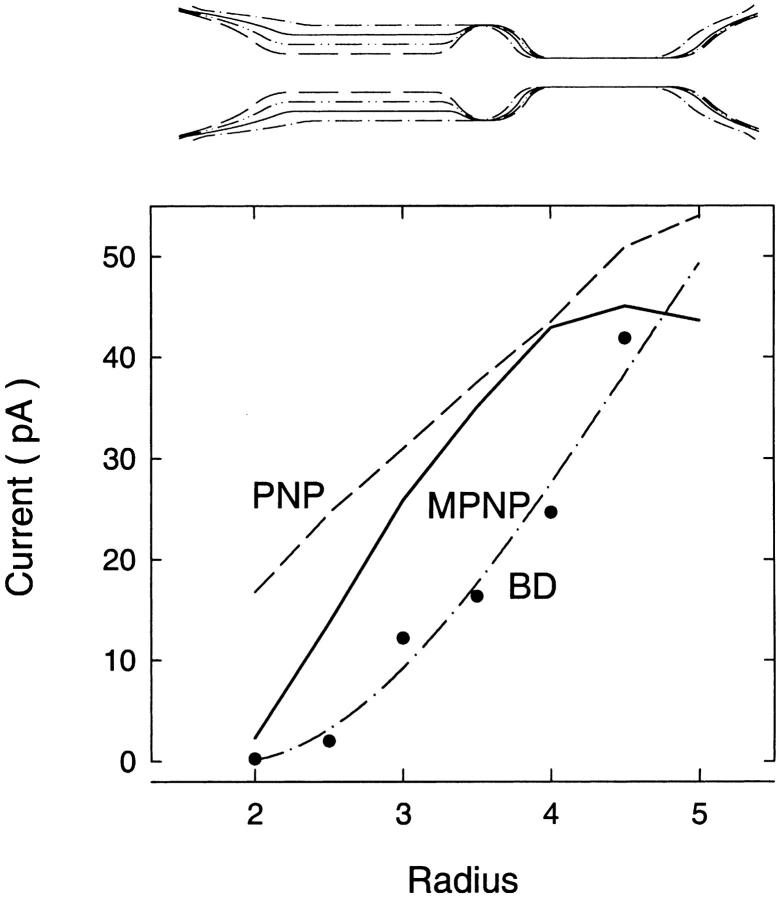 FIGURE 12