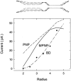 FIGURE 12