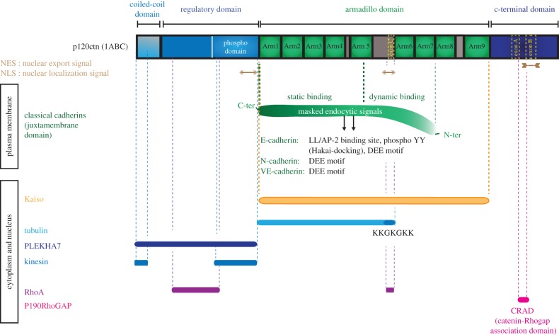 Figure 2.